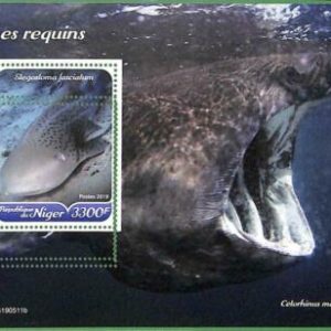 A2439 - NÍGER - ERROR: MISSPERF, Hoja de recuerdo - 2019, Tiburones, Vida...