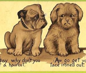 af4298 - USA - VINTAGE POSTCARD  -  ILLUSTRATED - 1911 - Dogs