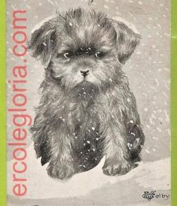 af4325 - USA - VINTAGE POSTCARD  -  ILLUSTRATED - Dogs NORTH POLE