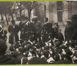 af4308   - VINTAGE POSTCARD  - Hunting  -  Dogs REAL PICTURE