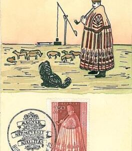 10937 - HUNGARY - MAXIMUM CARD - 1963  HAND PAINTED     ART PAINTING