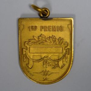 NA0194 -  ARGENTINA - MEDAL 1918 -  1st Prize Argentinian Model School