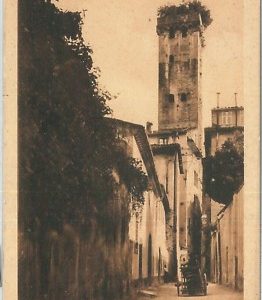 73603 - CARTOLINA d'Epoca - LUCCA  citta' -  TORRE GUINIGI