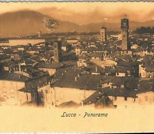 73609 - CARTOLINA d'Epoca - LUCCA  citta' - PANORAMA