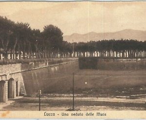 73611 - CARTOLINA d'Epoca - LUCCA  citta' - LE MURA