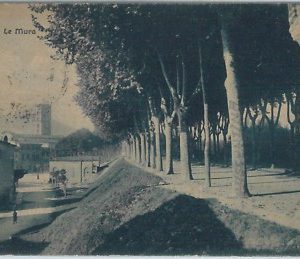 73613 - CARTOLINA d'Epoca - LUCCA  citta' - LE MURA  1932