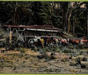 af1028 - ARGENTINA - Vintage Postcard - Salta