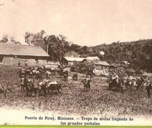 af1200 - ARGENTINA - Vintage Postcard - Puerto de Piray, Misiones - 1908