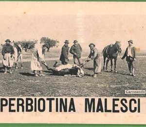ah2266 - VINTAGE POSTCARD -  ETHNIC Argentina PAMPEROS