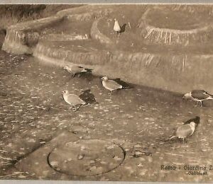 ab0227 - VINTAGE POSTKARTE - ROM Stadt