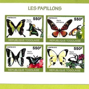 B1093 - TOGO  - ERROR IMPERF Stamp Sheet - 2010 - Insects,  Butterflies