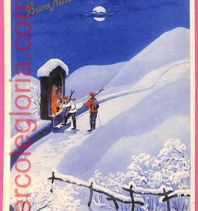 af9365 -   VINTAGE POSTCARD  Ansichtskarten - Winter Sport Skiing