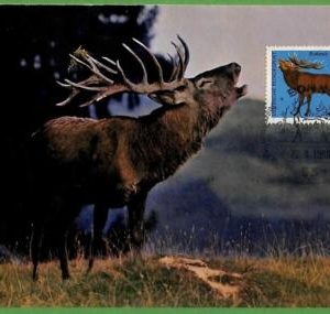 32187 - GERMANY -  MAXIMUM CARD - 1966 -  ANIMALS