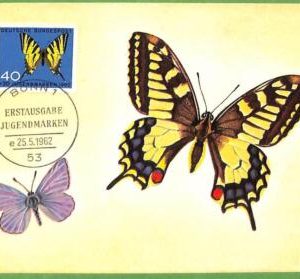 32386 - Germany -   MAXIMUM CARD - 25.5.1962 -  Butterflies