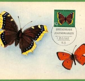 32387 - Germany -   MAXIMUM CARD - 25.5.1962 -  Butterflies