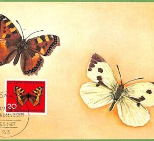 32395 - Germany -   MAXIMUM CARD - 25.5.1962 -  Butterflies