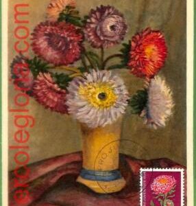 32443 - Switzerland -  MAXIMUM CARD - Flowers PRO JUVENTUTE