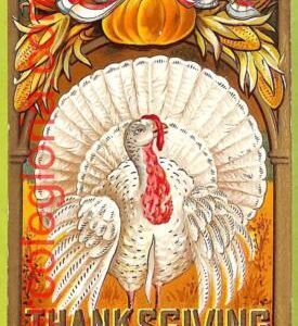 8062 -   VINTAGE POSTCARD  - Celebrations, THANKSGIVING Greetings - 1908