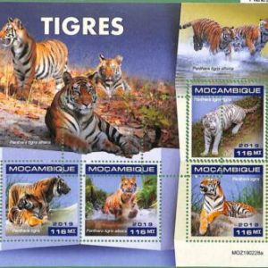 A2291 - MOZAMBIQUE - ERROR: MISPERF, Miniature sheet - 2019, Tigers