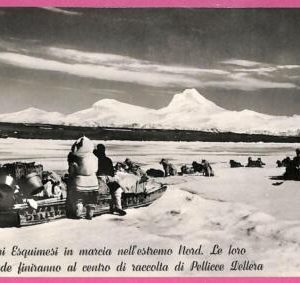 af9391 - VINTAGE POSTCARD  Ansichtskarten - Winter Sport