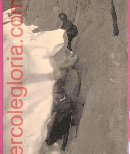 af9398 -   VINTAGE POSTCARD  Ansichtskarten - Winter Sport