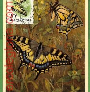 32413 - Hungary -   MAXIMUM CARD - Butterflies