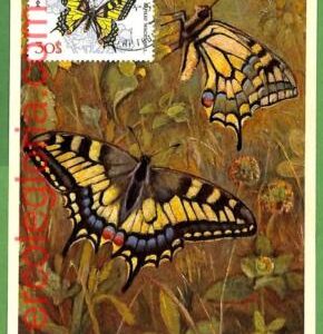 32403 - Mongolia -   MAXIMUM CARD - Butterflies