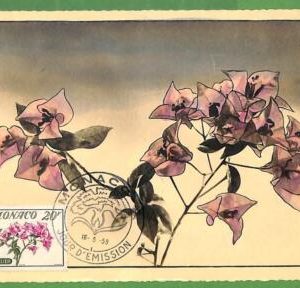 32435 - Monaco -   MAXIMUM CARD - 1959 -  Flowers