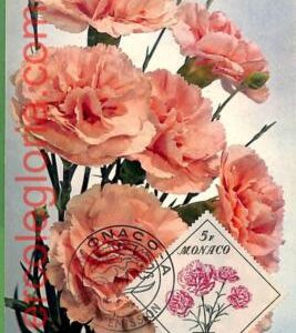 32444 - Monaco -   MAXIMUM CARD - 1959 - Flowers