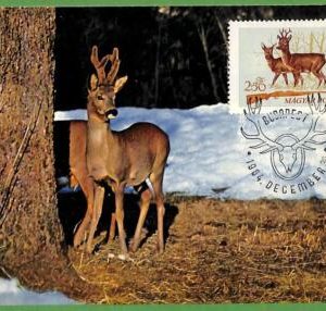 32230 - Hungary -  MAXIMUM CARD - 1964 -  ANIMALS