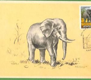 32241 - ANGOLA -   MAXIMUM CARD - 1958 - ANIMALS, Elephants