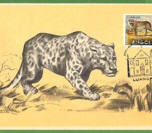 32243 - ANGOLA -   MAXIMUM CARD - 1958 - Fauna, ANIMALS, Elephants