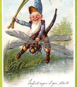 af6758 -   VINTAGE POSTCARD - DWARFS Gnomes