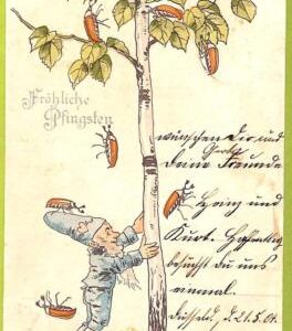af6773 -   VINTAGE POSTCARD - DWARFS Gnomes - 1904