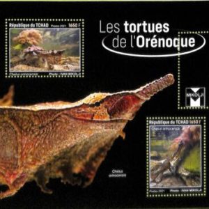 A8732a - TCHAD - ERROR MISPERF Stamp Sheet - 2021 ORINOCO TURTLE ANIMALS
