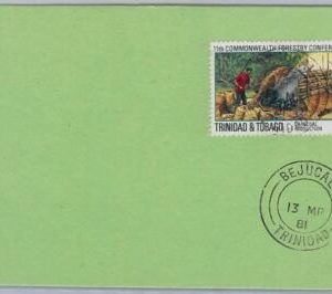 40148 - TRINIDAD & TOBAGO postal history COVER with nice postmark: BEJUCAL 1981