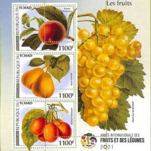 A8798 - TCHAD -   ERROR MISPERF  Stamp Sheet - 2021 PLANTS FRUITS