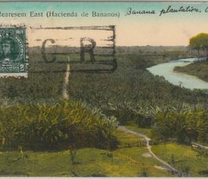 58594 - COSTA RICA - POSTAL HISTORY: POSTCARD to Victoria AUTRALIA via USA 1912