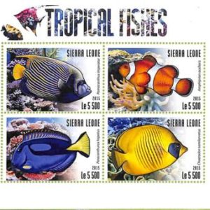 A8468- SIERRA LEONE - Stamp Sheet - 2015 TROPICAL FISHES