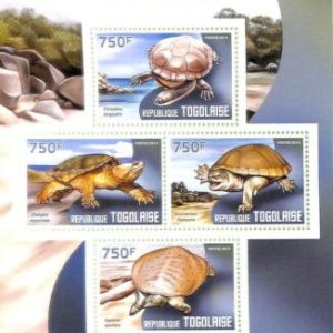 A8877 - TOGOLAISE - Stamp Sheet - 2014 TURTLES