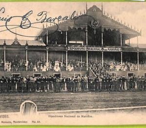 af2637 - URUGUAY - VINTAGE POSTCARD - MONTEVIDEO