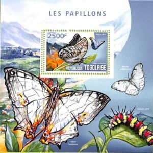 A8882  - TOGOLAISE - ERROR MISPERF Stamp Sheet - 2014 INSECTS Butterflies