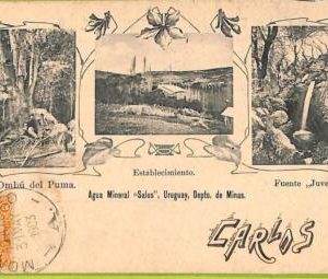 af2643 - URUGUAY - VINTAGE POSTCARD - MONTEVIDEO - 1903
