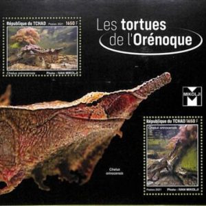 A8732 - TCHAD -  Stamp Sheet - 2021 ORINOCO TURTLE ANIMALS