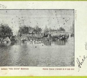af2598 - URUGUAY - VINTAGE POSTCARD - MONTEVIDEO - 1902
