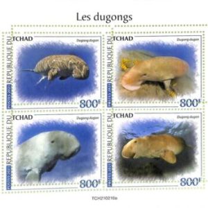 A8752 - TCHAD - ERROR MISPERF Stamp Sheet - 2021 Marine Life MANATEE