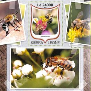 A8477 - SIERRA LEONE - Stamp Sheet - 2016 INSECTS BEES