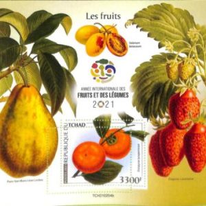 A8799 - TCHAD -   ERROR MISPERF  Stamp Sheet - 2021 PLANTS FRUITS