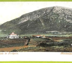 af2613 - URUGUAY - VINTAGE POSTCARD - MONTEVIDEO