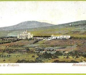 af2614 - URUGUAY - VINTAGE POSTCARD - MONTEVIDEO